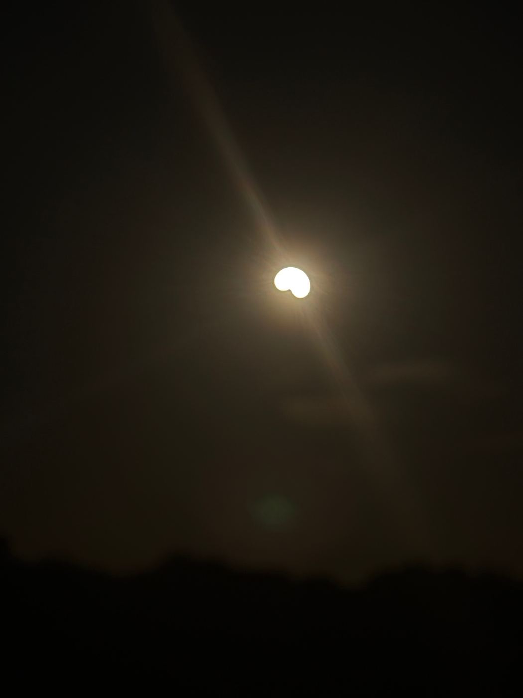 The partially eclipsed sun a few minutes later, the Moon's shadow biting further into the disc, with the dark treeline of the estate along the bottom of the frame