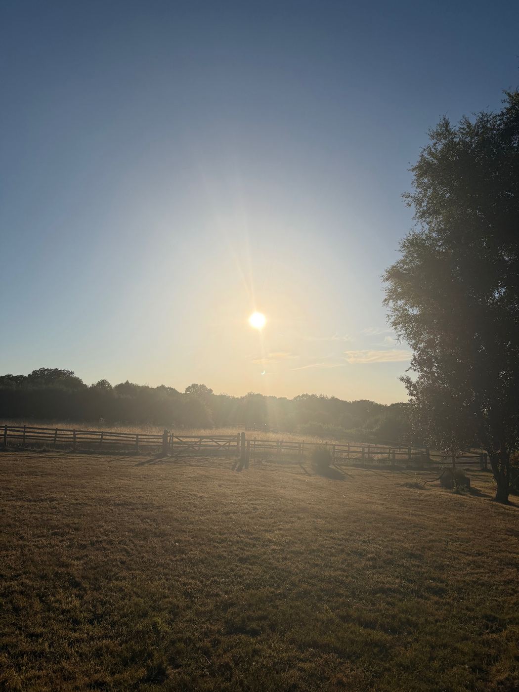 The fenced meadow at Martins Farm under a clear blue sky, the sun still high and bright above the distant treeline before the eclipse began