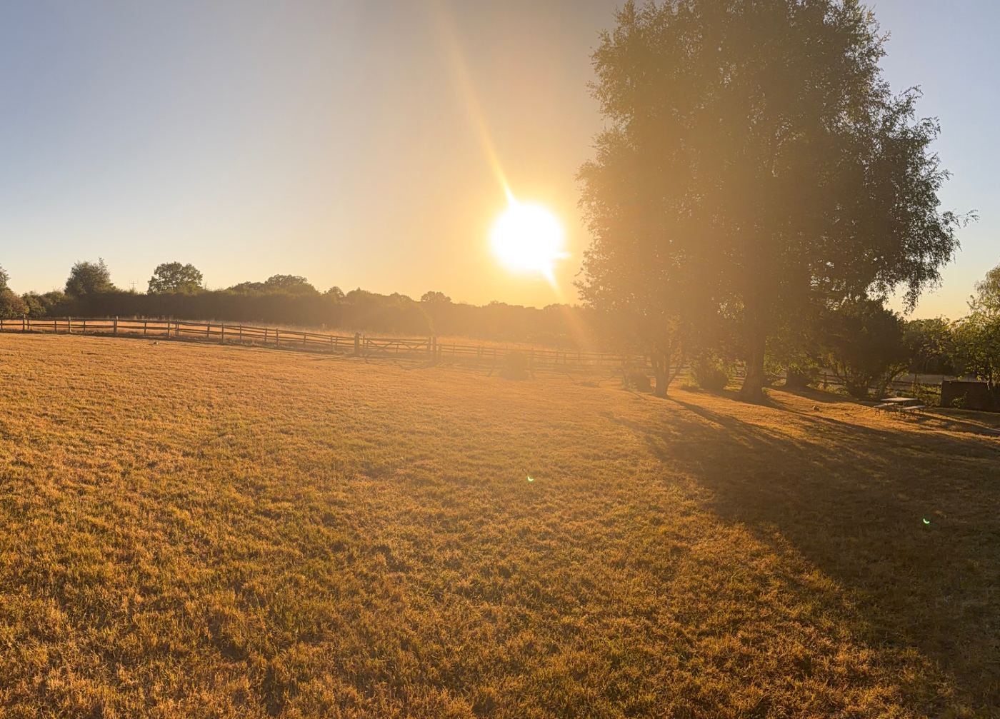 The meadow at Martins Farm in heavy golden light during the partial solar eclipse of 12 August 2026, long shadows stretching across the dry grass beside a post-and-rail fence