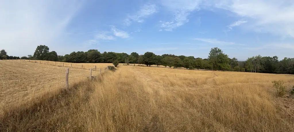 The meadow at Martins Farm looking along the post-and-wire fence line to the tree belt on the ridge, under an open Sussex sky