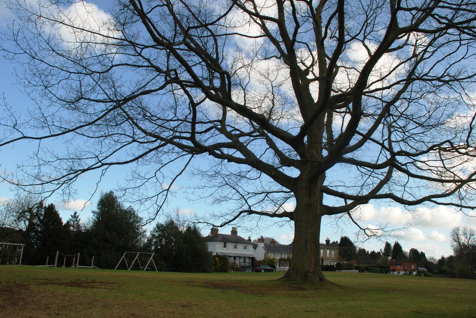 The green at Frant under a bare-branched tree, village houses ranged along the far side beneath a wide Sussex sky