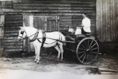 Historic black-and-white photograph of the Hathaway dairy cart with horse and milk churns at Martins Farm.