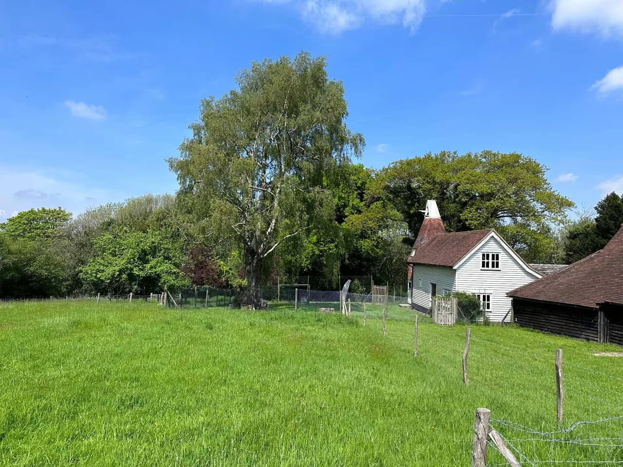 The white weatherboarded oast house at Martins Farm with its cowl above the kiln roof, seen across a fenced green meadow and mature silver birch on a clear summer day