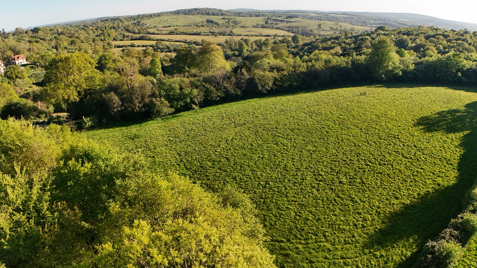 Panoramic view across pasture, woodland and rolling High Weald countryside near Frant in East Sussex