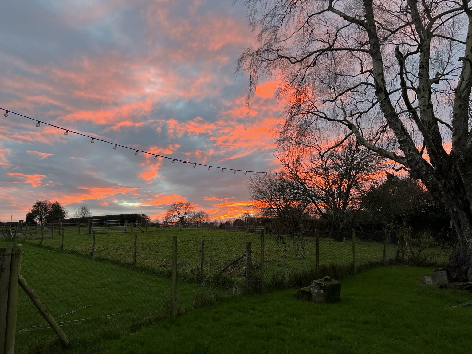 The view from the kitchen door at Martins Farm at sunset, over a fenced green field to a tree line under orange and blue cloud