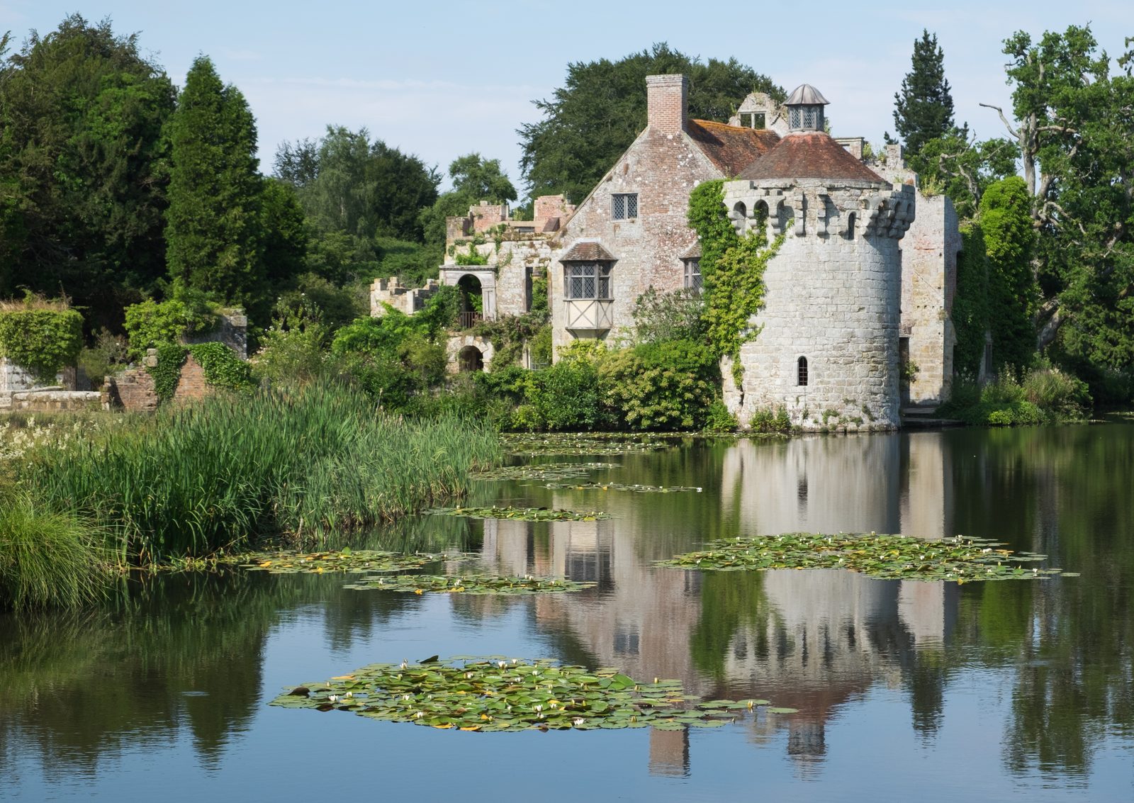The moated fourteenth-century ruin of Old Scotney Castle in summer, its round tower and tiled roofs reflected in the still moat with reeds and water lilies in the foreground